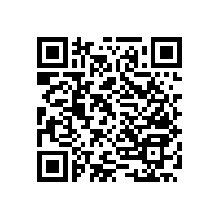 【東莞廁所扶手】 藍(lán)品盾PT-WY-29款以質(zhì)取勝