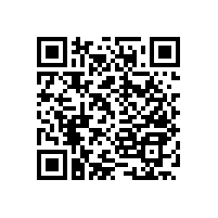 多功能扶手衛(wèi)生間安防設(shè)施用品安全又實用-藍(lán)品盾廠銷