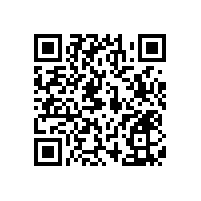 大批量的醫(yī)院衛(wèi)生間墻上扶手拉桿實惠款式-藍品盾