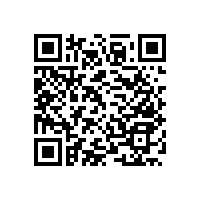 帶紙巾盒的多功能衛(wèi)浴扶手