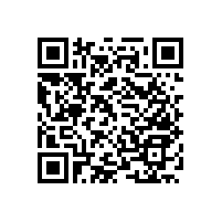 帶紙巾盒扶手的不同材質(zhì)【藍品盾】