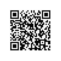 定制無(wú)障礙扶手需要注意一些什么？【藍(lán)品盾】