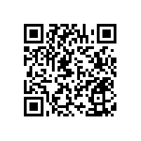 兒童衛(wèi)生間也要裝扶手嗎？-藍品盾