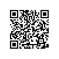 兒童洗手間扶手有哪些特點(diǎn)？【藍(lán)品盾】