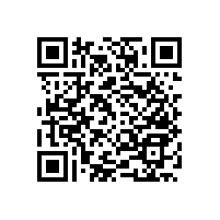 【分析】小便池扶手款式的選擇-藍(lán)品盾