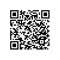 公廁殘疾人便器扶手不銹鋼，不易生銹的特性是真的好-藍品盾