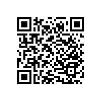 【廣東】殘疾人扶手，需求日益增多的安全必需品