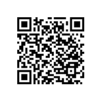 公共場(chǎng)所里衛(wèi)生間的必備之物-衛(wèi)生間扶手【藍(lán)品盾】