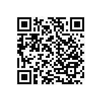 公共場(chǎng)所衛(wèi)生間無障礙扶手，一般都選擇哪些款式？-藍(lán)品盾