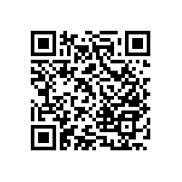 公共衛(wèi)生間殘疾扶手&家庭衛(wèi)生間扶手款式-藍品盾