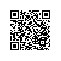 公共衛(wèi)生間殘疾人廁所扶手夠溫馨【藍(lán)品盾】