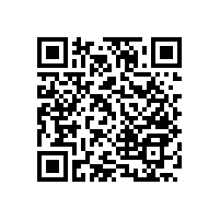 公共衛(wèi)生間及沐浴間安全扶手-快速解決衛(wèi)生間的安全隱患【藍品盾】