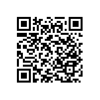 【給老母親貼心的禮物】就選藍(lán)品盾老年人衛(wèi)生間扶手