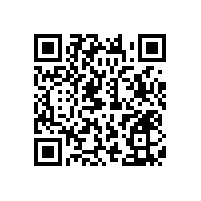 廣西北海市哪里可以定做殘疾人扶手 藍(lán)品盾