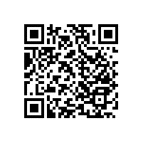 關(guān)于醫(yī)院衛(wèi)生間無障礙扶手的款式選擇-藍(lán)品盾