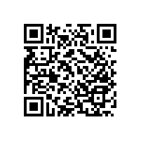 廣州客戶鐘愛的馬桶扶手款式是可上翻折疊的