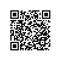 廣州藍(lán)品盾那有賣廁所無障礙扶手款式多樣 月月上新