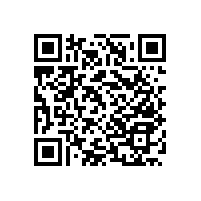 廣州市老人院訂做新品顏色的尼龍走道扶手