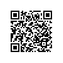 【湖北】無障礙扶手選購，種類全，款式多