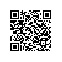 【湖北】宜昌客戶再次采購了一批尼龍走道扶手PT-WY-15款