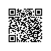 好看的衛(wèi)生間浴室扶手啥時候都不落伍【藍品盾】