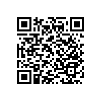 【黑龍江】醫(yī)用扶手多種款式，藍品盾家更具優(yōu)勢