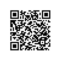 簡單實用的 病房衛(wèi)生間無障礙扶手【藍品盾】