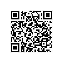 今年流行的無障礙殘疾人衛(wèi)生間扶手-是什么款式【藍品盾】