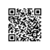 可定制款式的殘位衛(wèi)生間洗手池扶手【藍品盾】