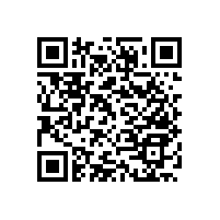 可活動(dòng)帶立柱無(wú)障礙扶手/廁所扶手--更穩(wěn)固，承重力更大