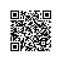 空間狹小衛(wèi)生間馬桶扶手怎么裝【藍品盾】