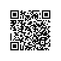 【款式選擇】無障礙小便池扶手，藍(lán)品盾廠家出品