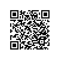 老年廁所扶手/受力不晃動【藍(lán)品盾】