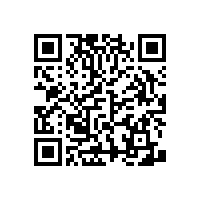 老年人安裝衛(wèi)生間扶手應(yīng)該應(yīng)地制宜、靈活應(yīng)對