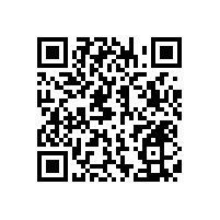 老年人廁所扶手/結(jié)實防潮【藍品盾】