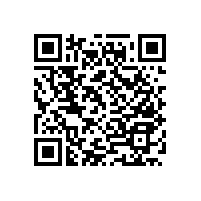 老年人扶手款式簡(jiǎn)單耐用【藍(lán)品盾】