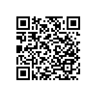 老年人馬桶扶手-設計貼心/顏色百搭【藍品盾】