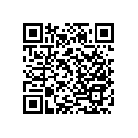 老年人衛(wèi)生間安全扶手防滑嗎？【藍(lán)品盾】