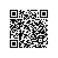 老年人衛(wèi)生間防滑扶手-日常必備防滑小助手【藍(lán)品盾】