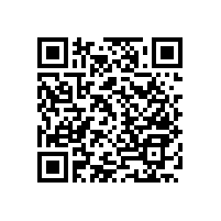 老年人衛(wèi)生間扶手款式簡約安全【藍(lán)品盾】