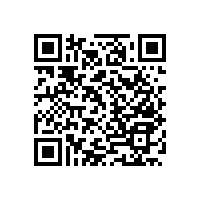 老年人衛(wèi)生間扶手【藍品盾】款式新穎 功能多樣