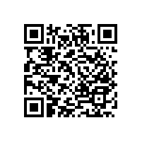 老年衛(wèi)生間扶手衛(wèi)生間的防滑助力【藍(lán)品盾】