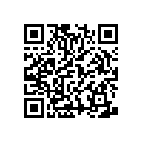 老年衛(wèi)生間扶手怎么安裝【藍品盾】