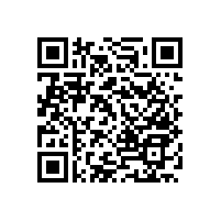 老年衛(wèi)生間坐便扶手的重要性【藍品盾】