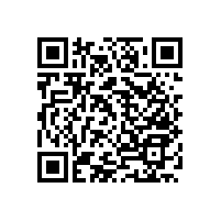 【遼寧】新款衛(wèi)浴扶手，高要求嚴品質(zhì)