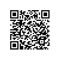 【藍品盾】殘疾人安全扶手新款多多