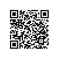 藍品盾殘疾人蹲便扶手有哪些款式