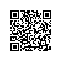 藍(lán)品盾殘疾人無障礙馬桶扶手多少錢？