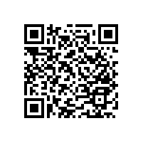 藍(lán)品盾殘疾人小便斗扶手樣式推薦