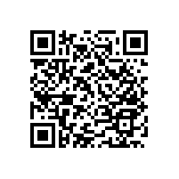 藍(lán)品盾殘疾人坐便器扶手款式大集合